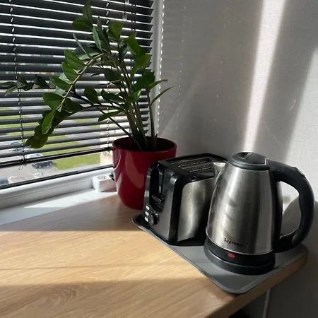 Like At Daumani 나르바