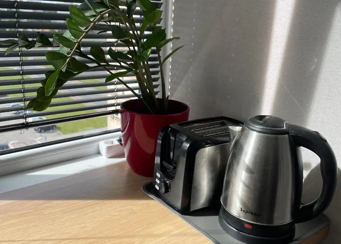 Like At Daumani 纳尔瓦